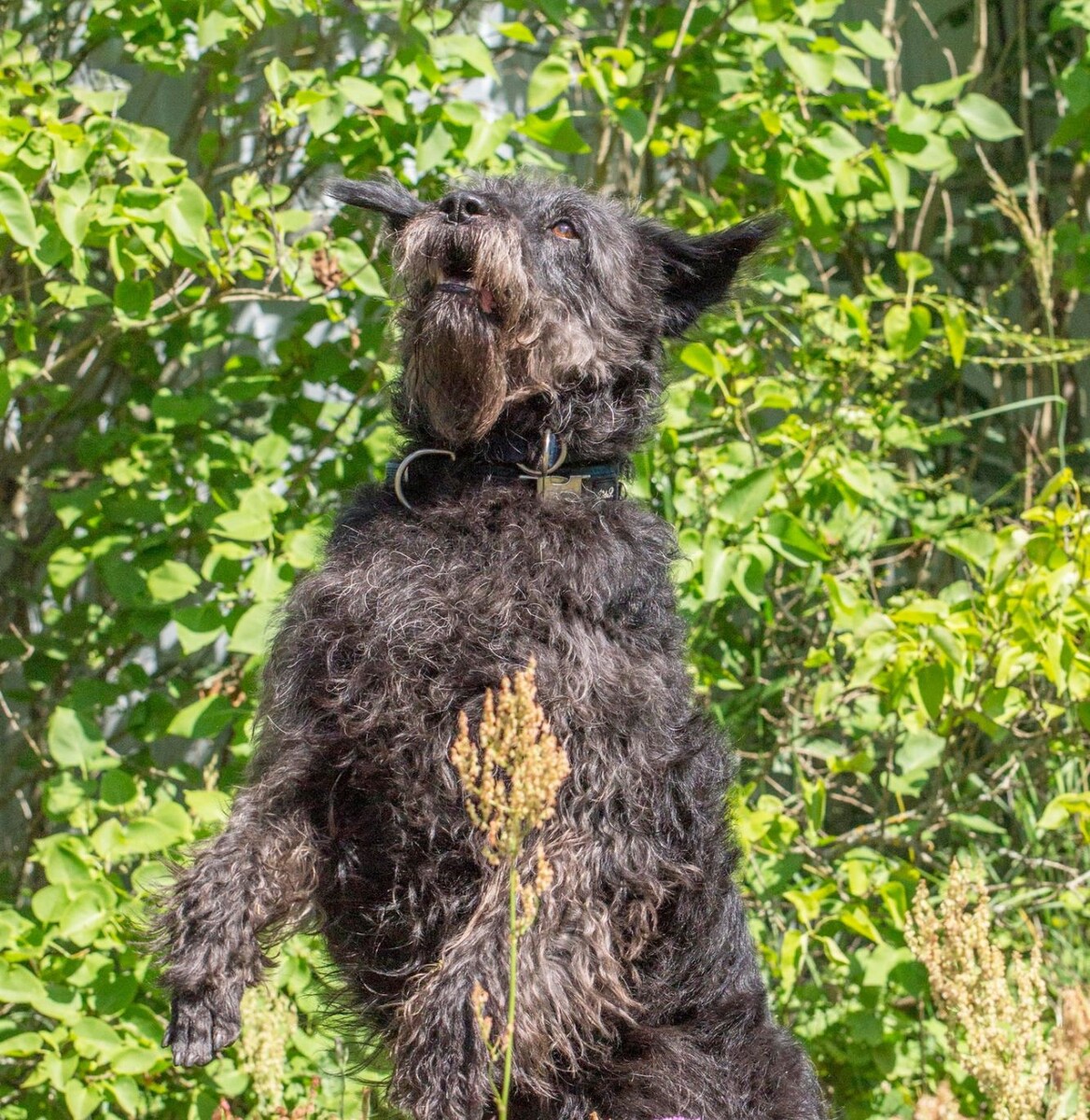 А еды дадут?