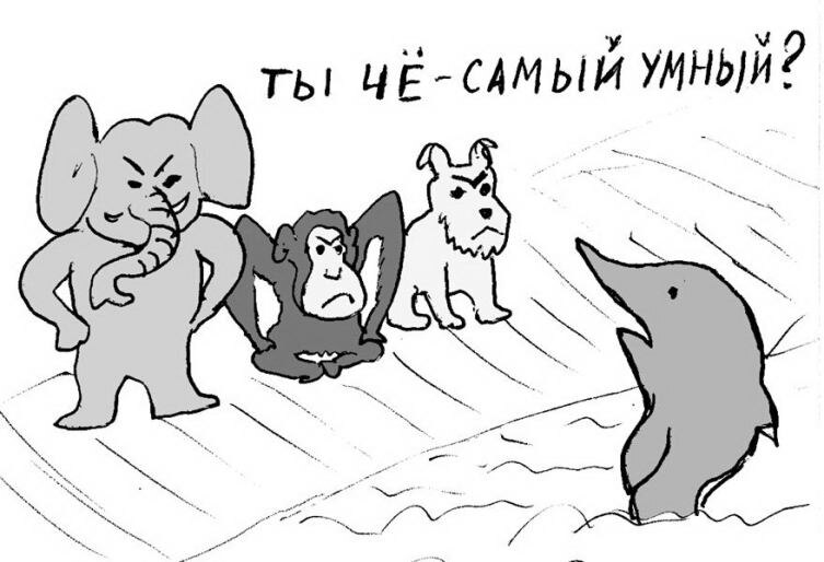    Фото: Сергей Курий, личный архив