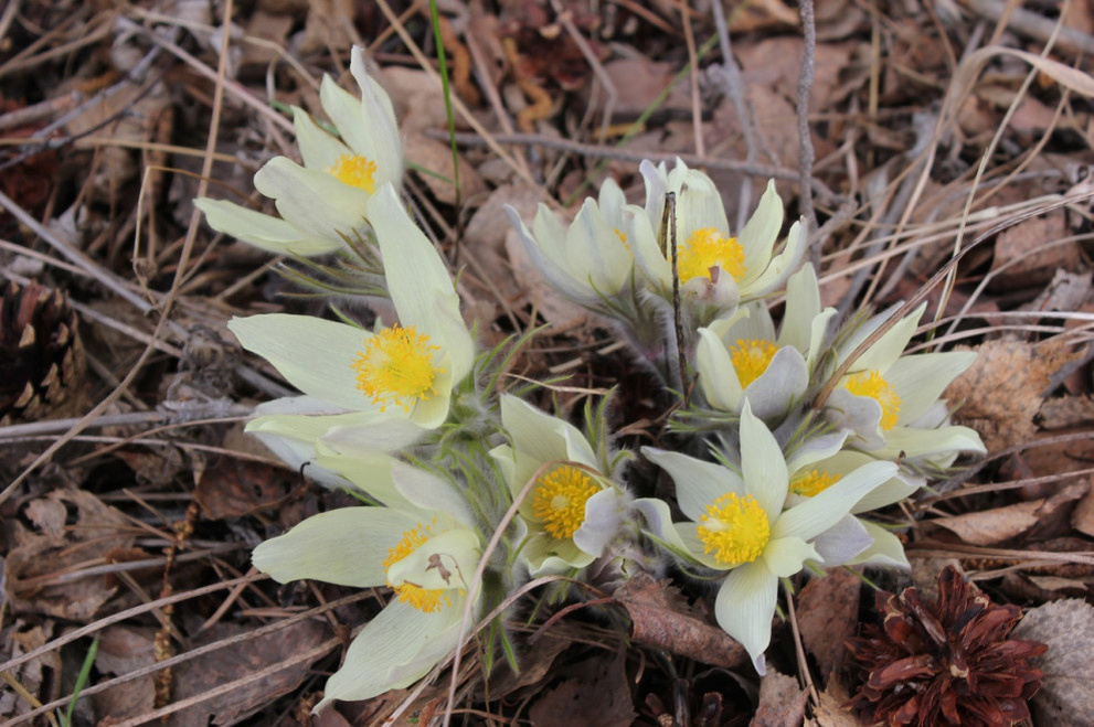 Фото: «Земляне» 