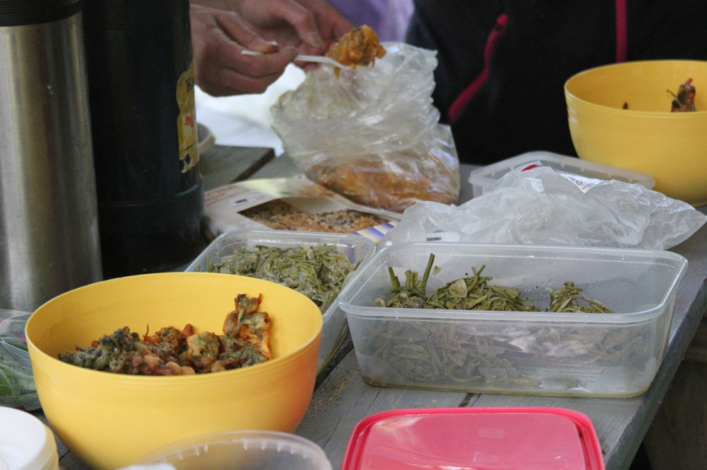 Фото: «Земляне» 