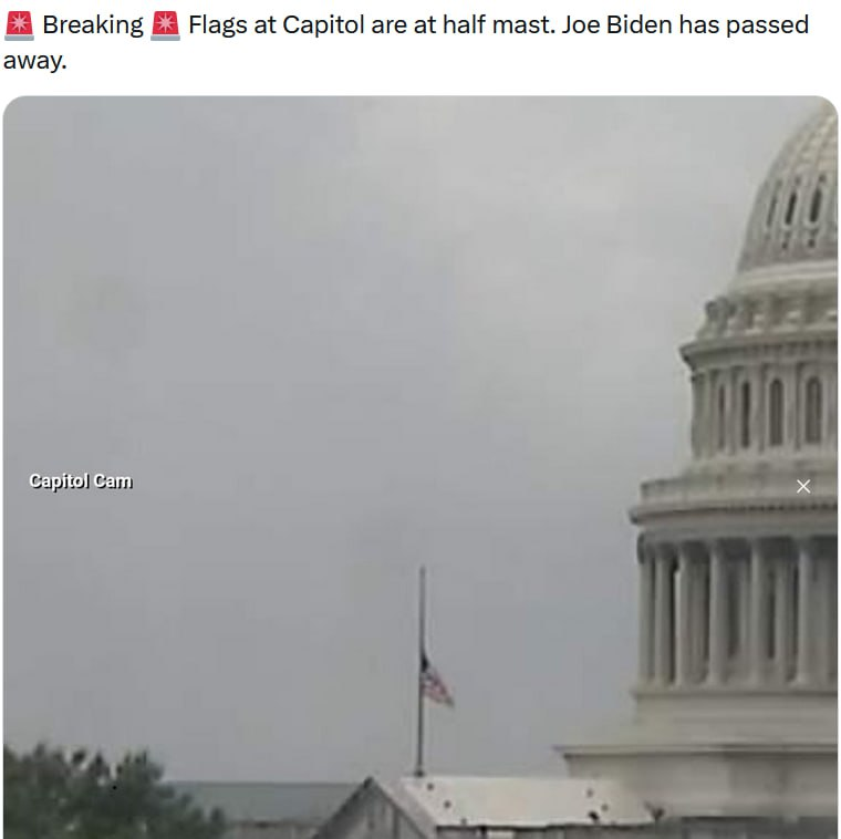 Публикация пользователя в соцсети