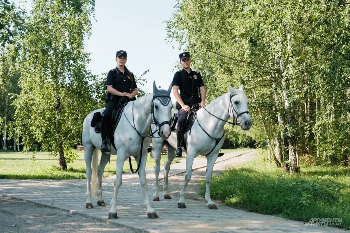    Напарник с подковами.