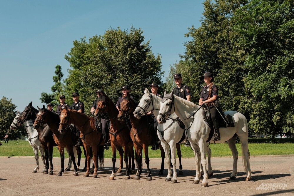    Фото:  АиФ/ Александр Вдовенко