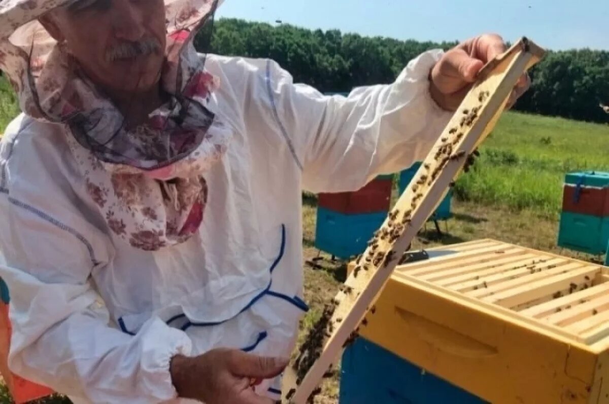    Губернатор Приморья: развитие пчеловодства – стратегическая задача региона