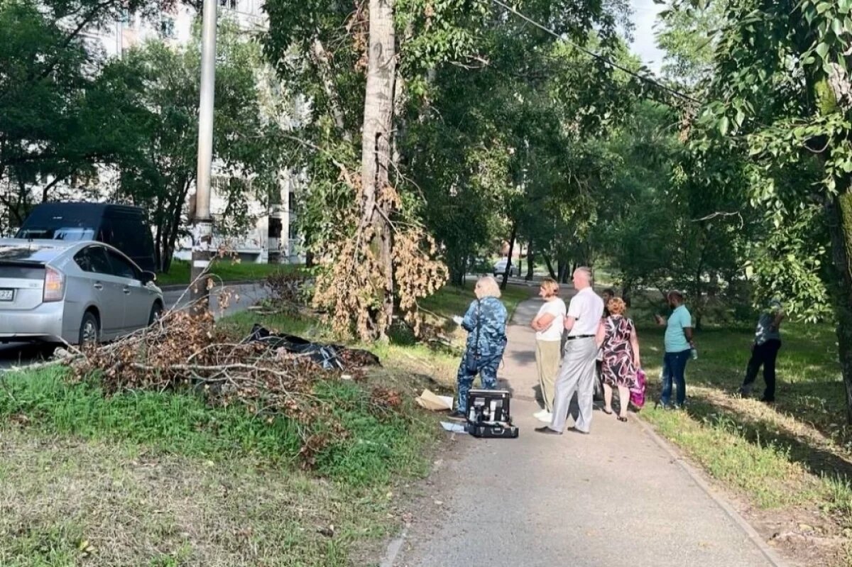    В Хабаровске два сотрудника ТОГУ погибли в коллекторе: раскрыты подробности