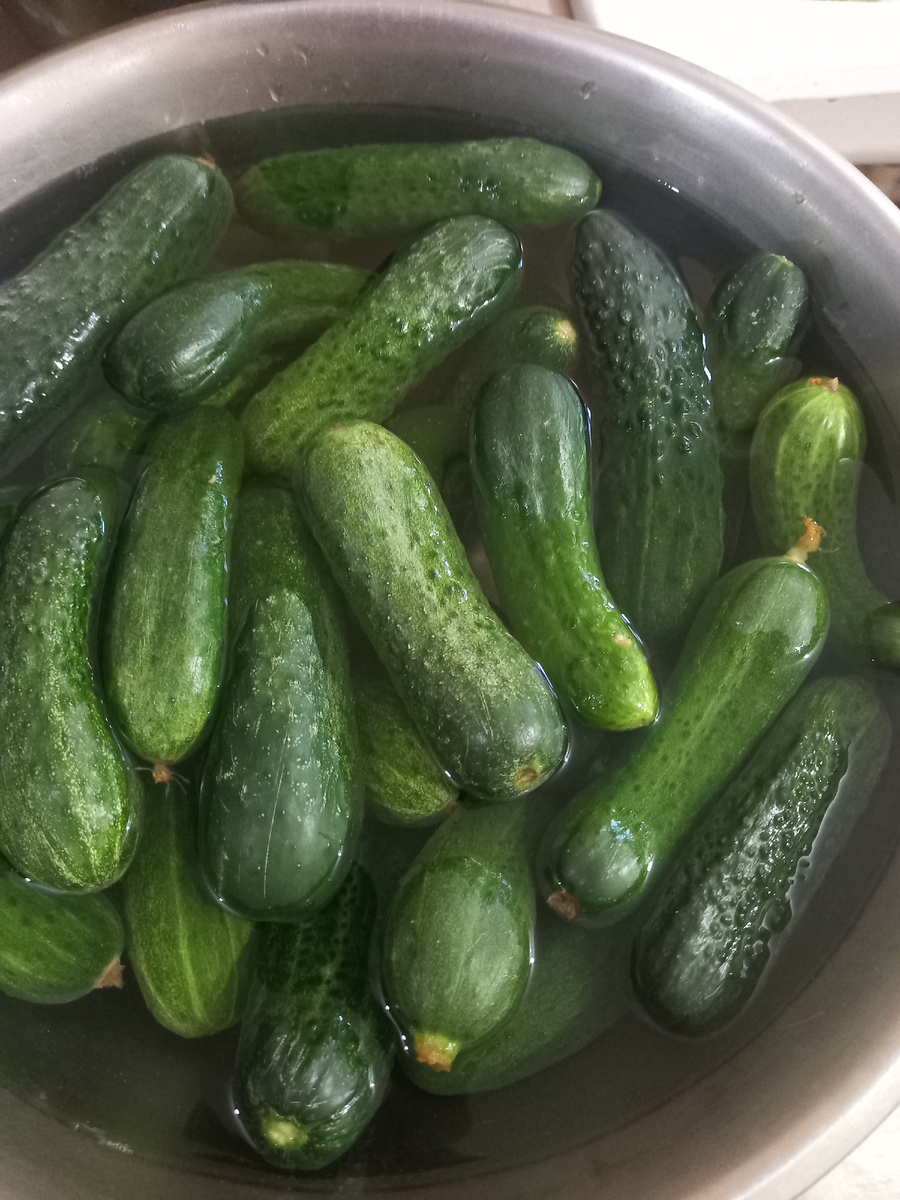 Огурцы лутчше выбирать с плотными пупырками,в идеале свежесобранные.