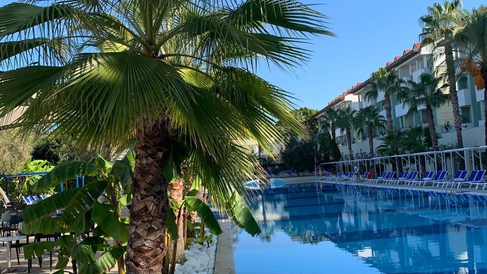 Простенький вариант в Сиде, зато с зеленой уютной территорией и в 3 минутах от шикарного песчаного пляжа - Sural Resort 5*