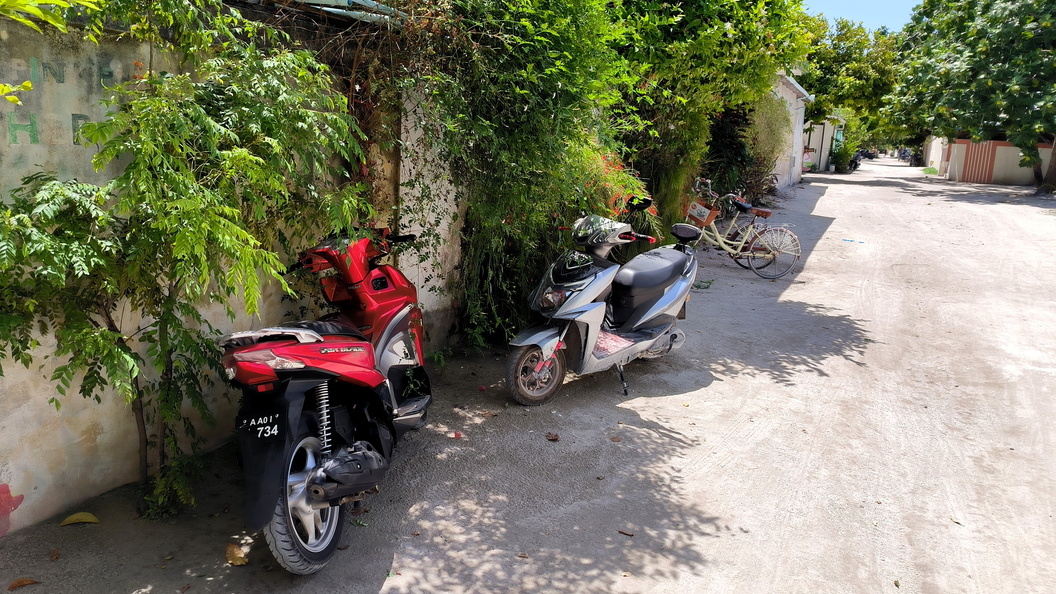    © Maksim Konstantinov/Globallookpress