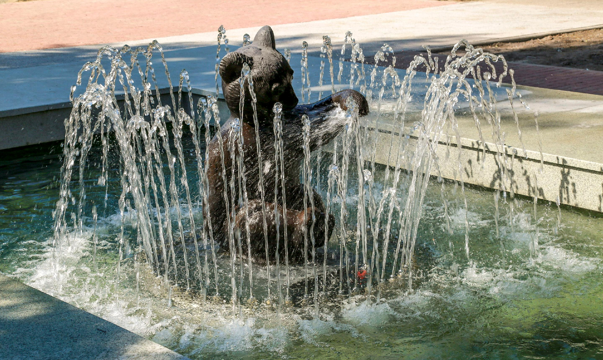 Фото nsknews.info