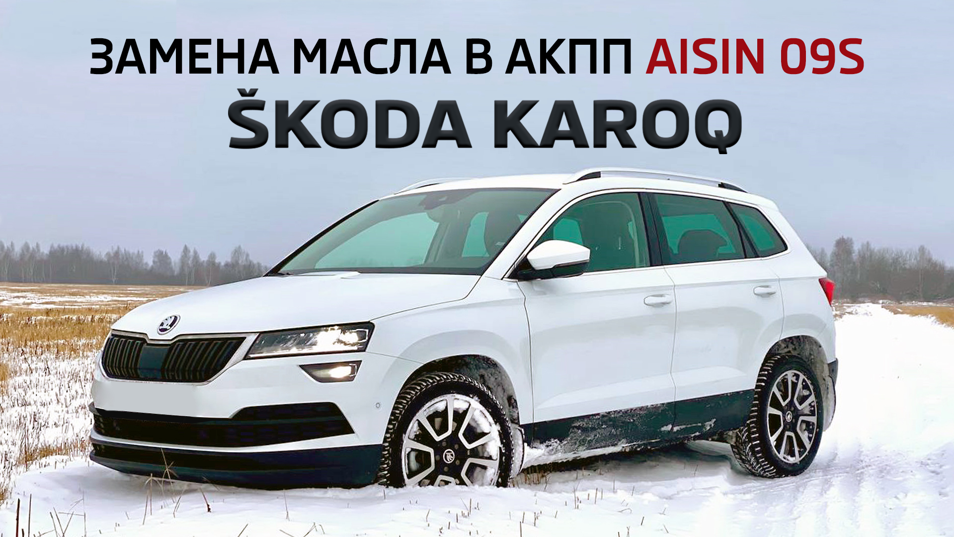 Когда менять масло в двигателе Skoda (периодичность замены)