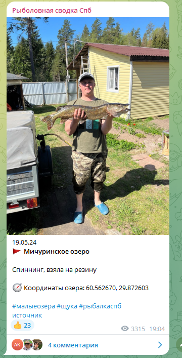 Щучья локация в тросте на южном берегу Мичуринского озера, напротив д. Кучерово