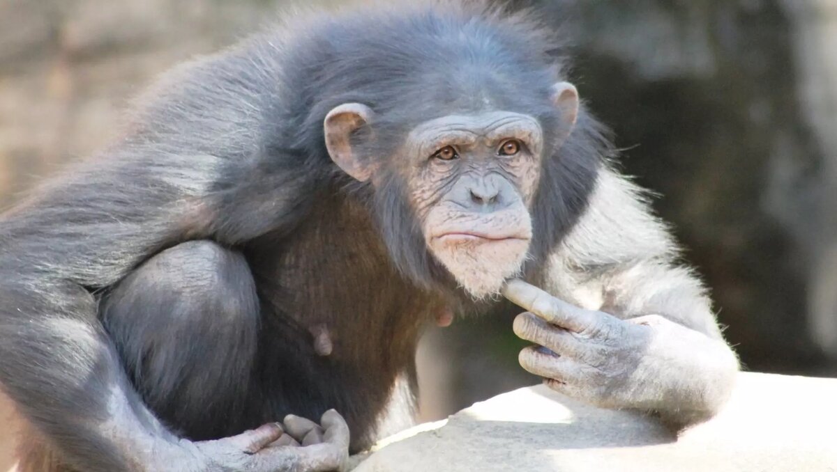     Источник: PxHere