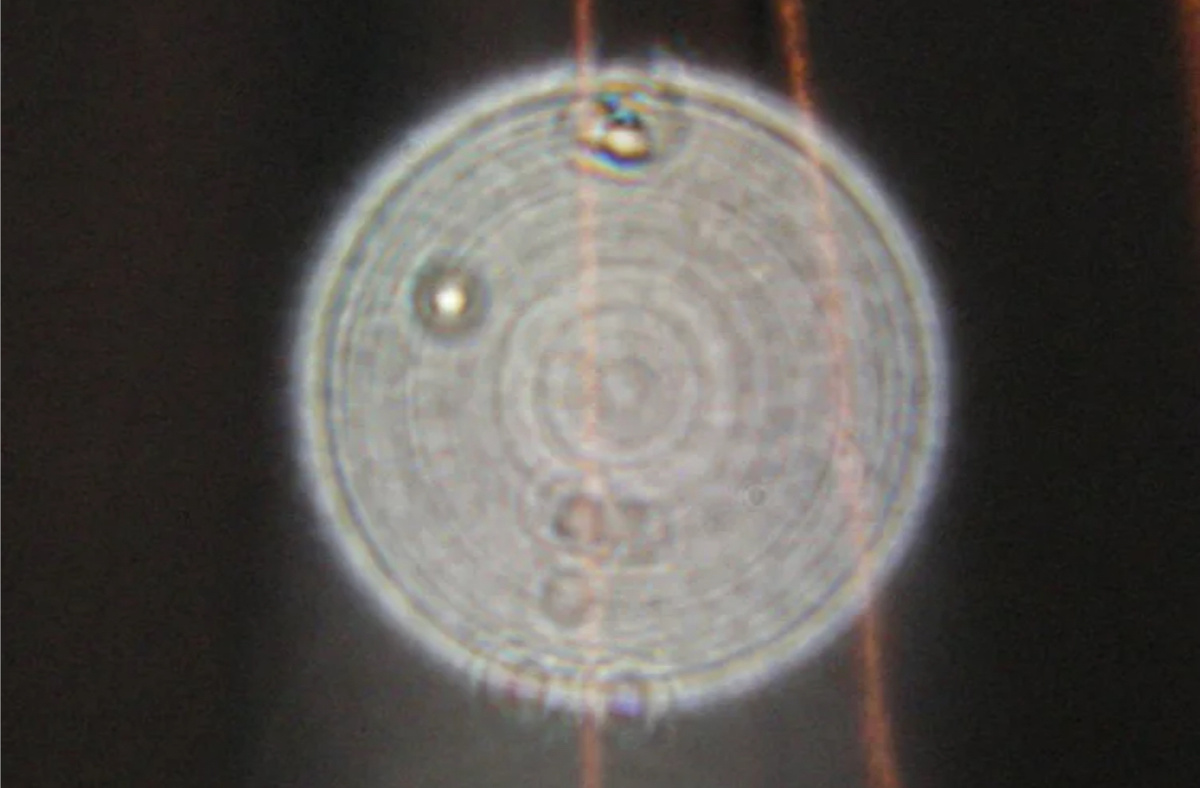 Орбы плазмоиды призраки. Орбы плазмоиды. Шары плазмоиды орбы. Орбы плазмоиды. Орбы плазмоиды золотой.