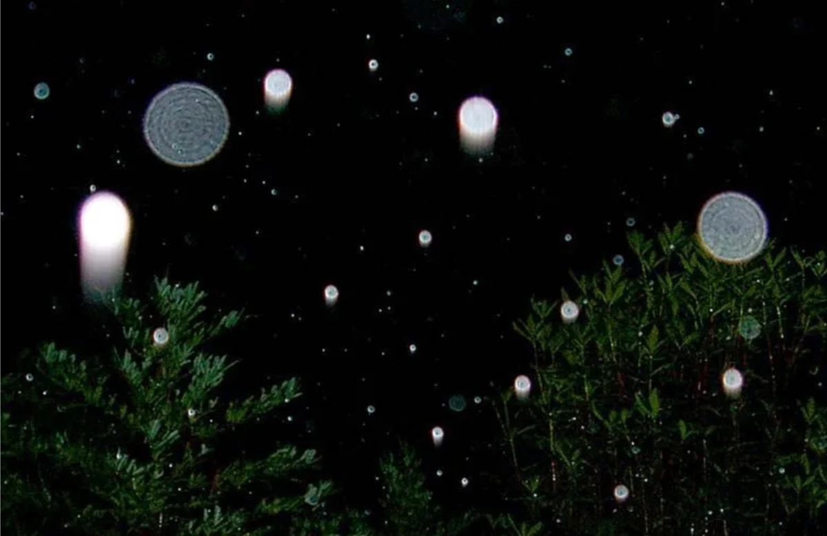 Орб плазмоид. Орбы плазмоиды. Шары плазмоиды орбы. Орбы плазмоиды золотой. Плазмоиды, орбы, светящиеся шары энергии.