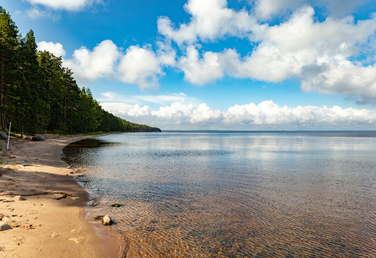 Фото: Александра Петрова