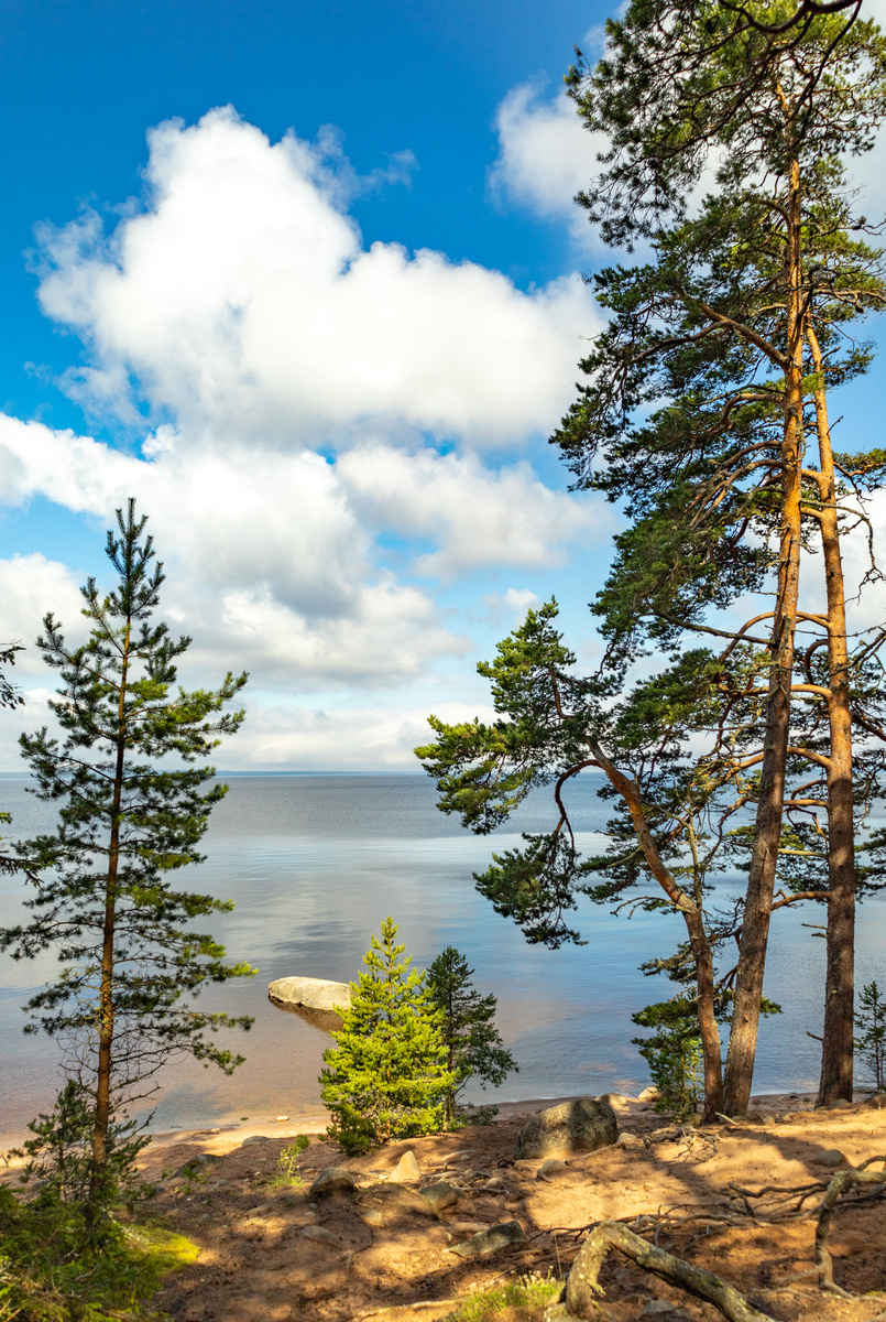 Фото: Александра Петрова