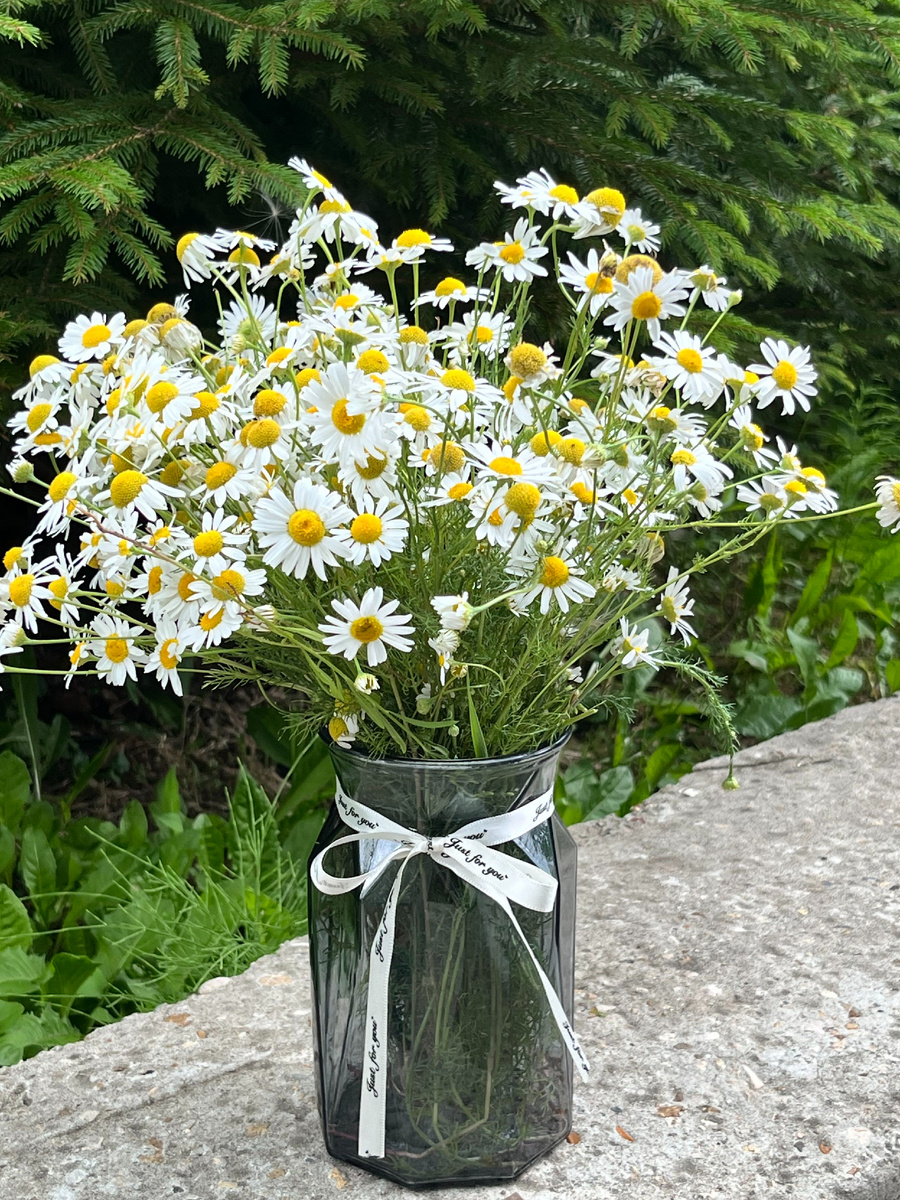 Ваза для дома с ромашками