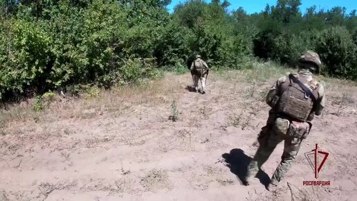 Крупный схрон с иностранным вооружением обнаружили росгвардейцы в ЛНР