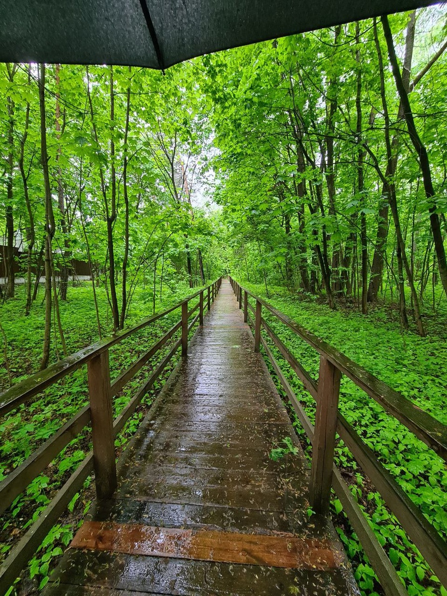    Фото: сербор.рф Анна Полякова