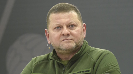    Залужный в первой речи в качестве посла призвал Запад отказаться от ряда свобод Егор Гордеев