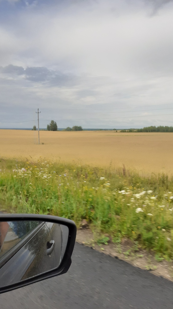 Засеянные поля вдоль дороги от Торъяла до Масканура