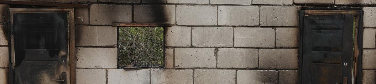    Фото: Антон Вергун