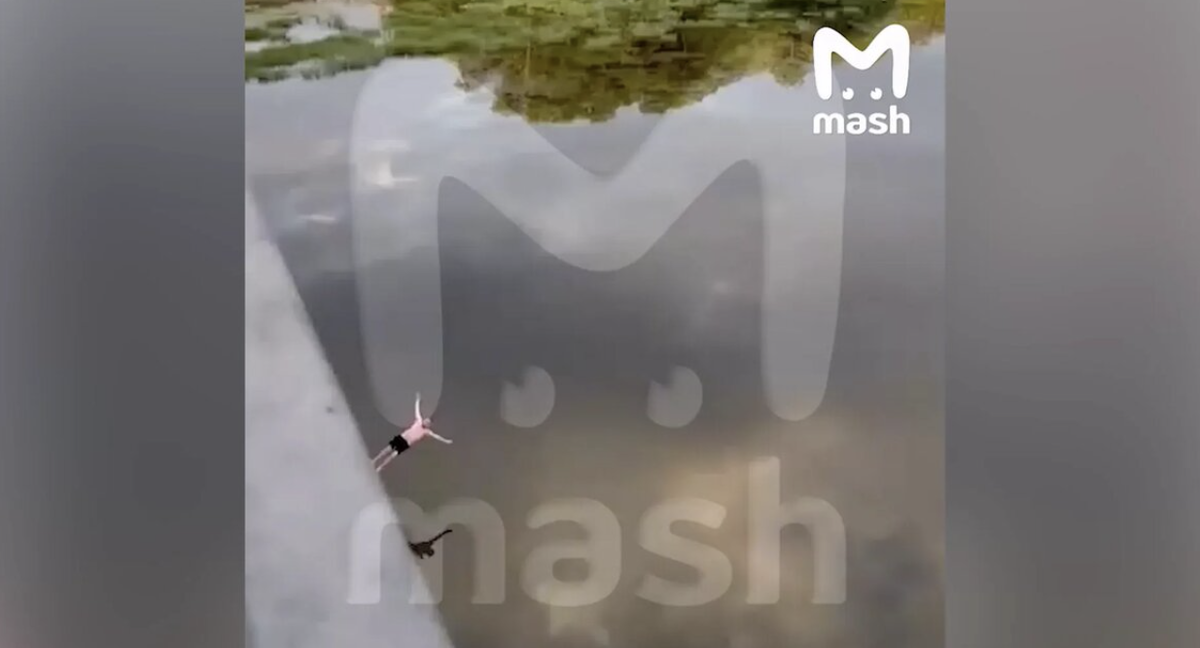 Фото: Mash