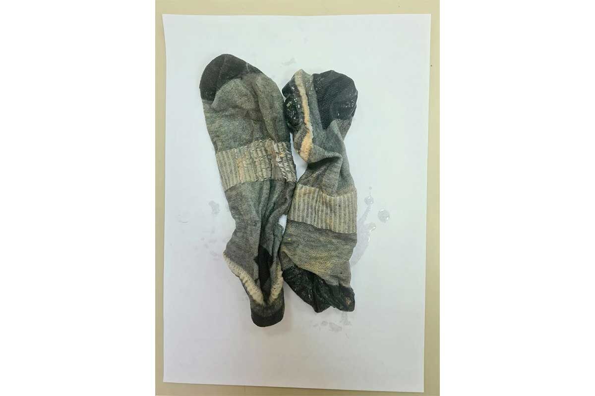    moyavetklinika / Telegram