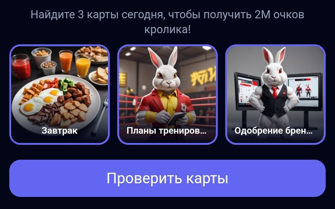 Супер сет rocky rabbit сегодня