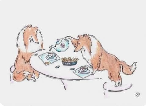 Из свободного доступа сети Интернет 