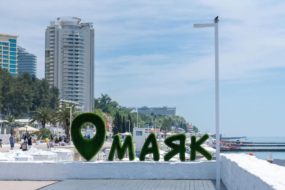    Фото: Telegram/Сочи Официальный