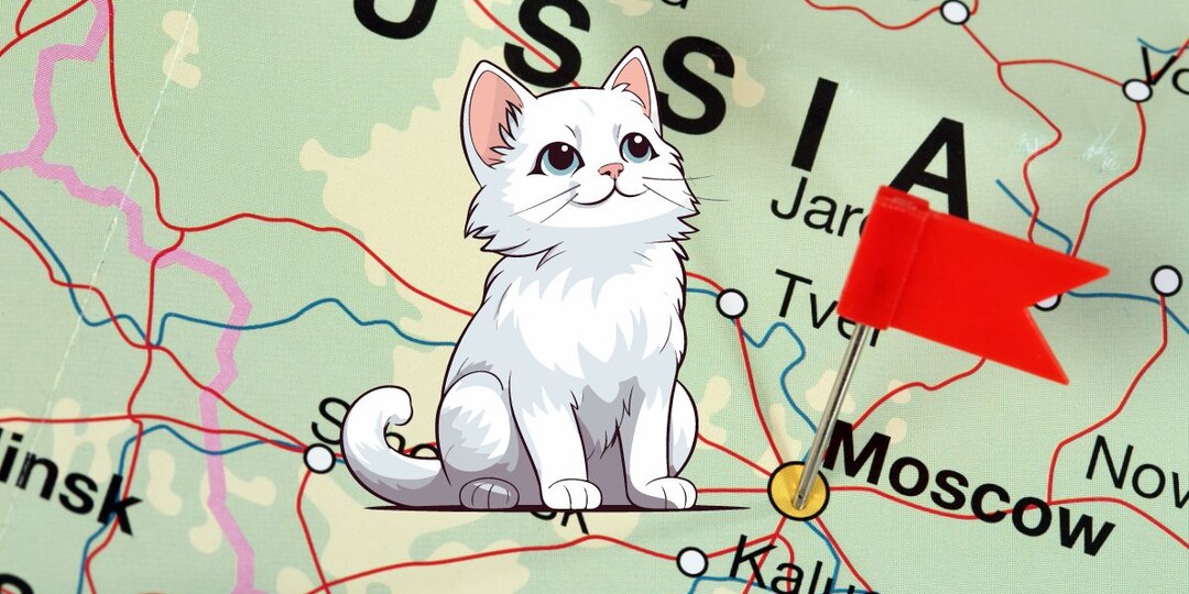 Хвостатая статистика: где в России больше всего любят кошек, а где собак?