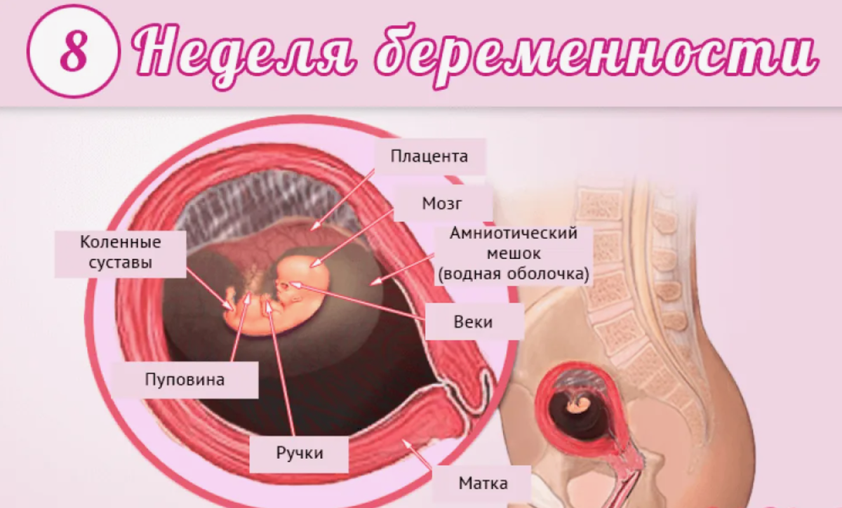 Секс во время беременности | Можно ли заниматься любовью беременным