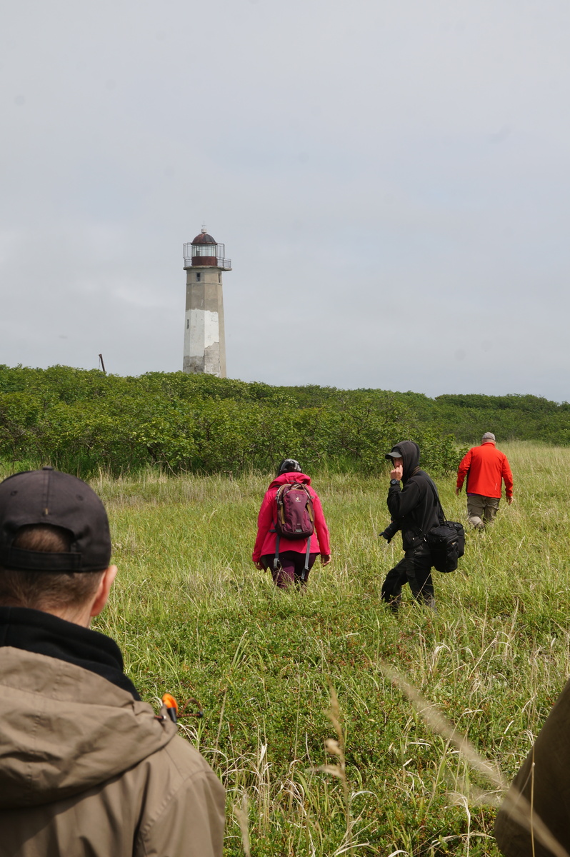 Туда шли по кустам и кочкам