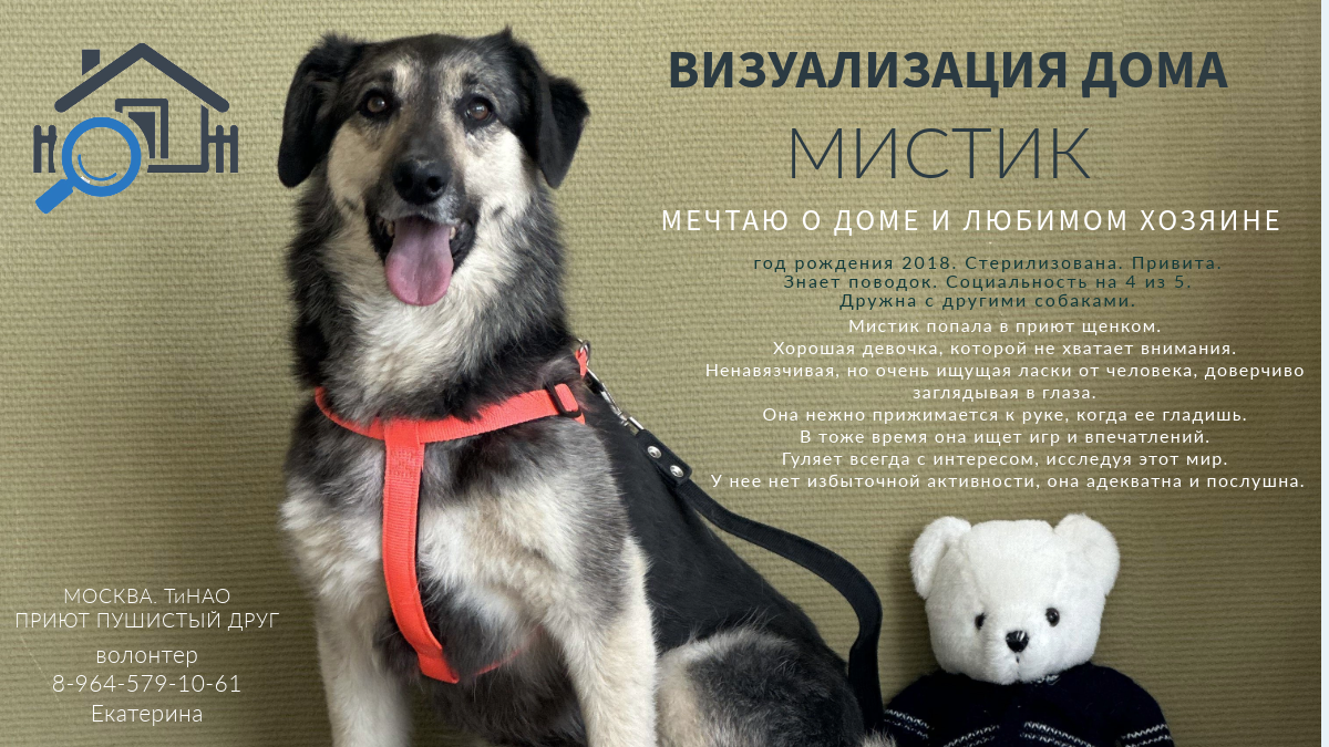 Мистик хочет домой.