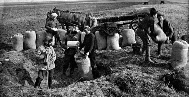 Саботаж и воровство стали истинными причинами голода 1932-33 годов на Украине, в Поволжье, Северном Кавказе