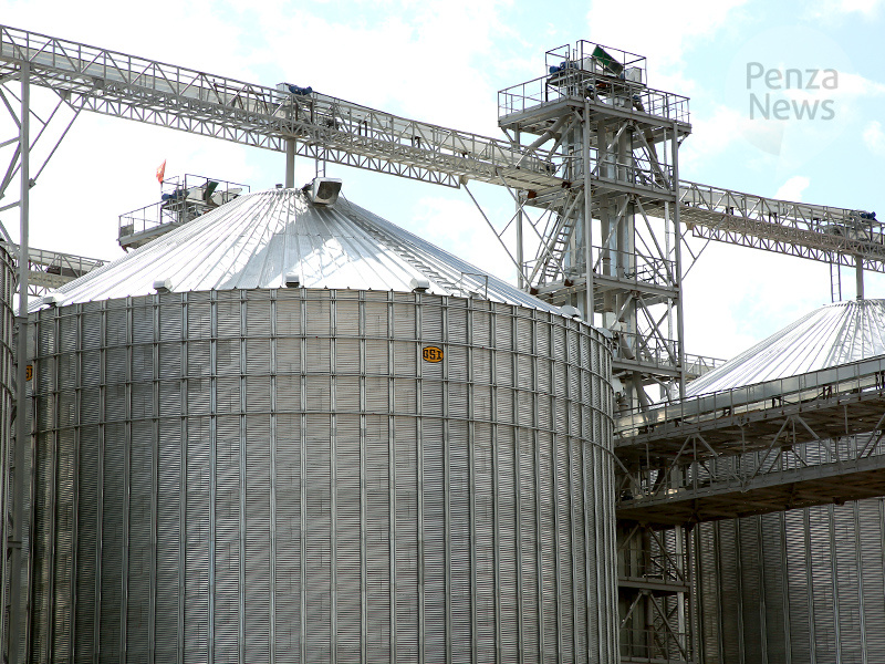    © Фото из архива ИА «PenzaNews»