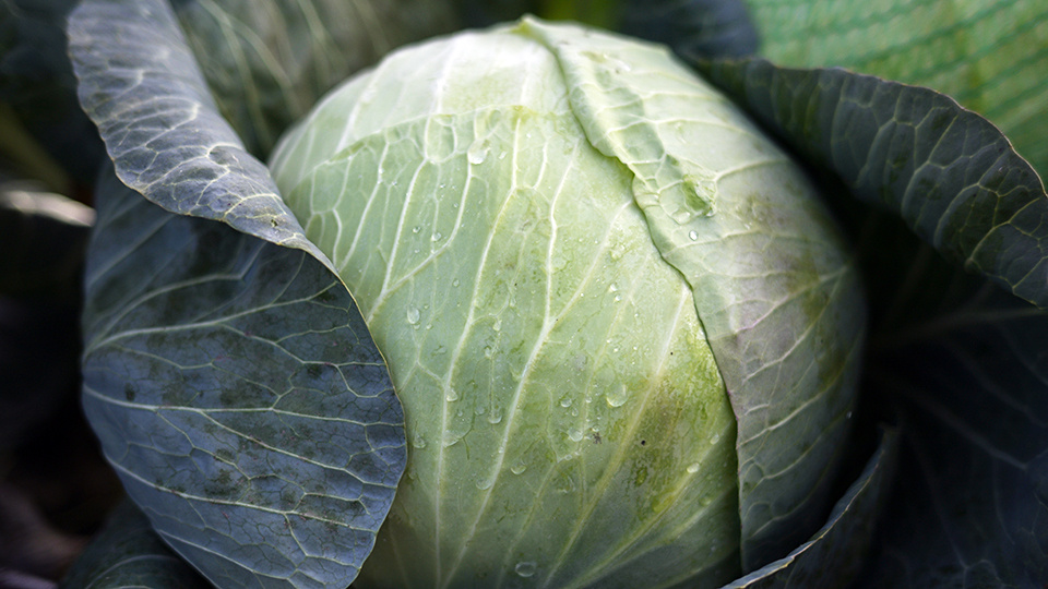 Фото: РИА Новости/Александр Кряжев (из архива)