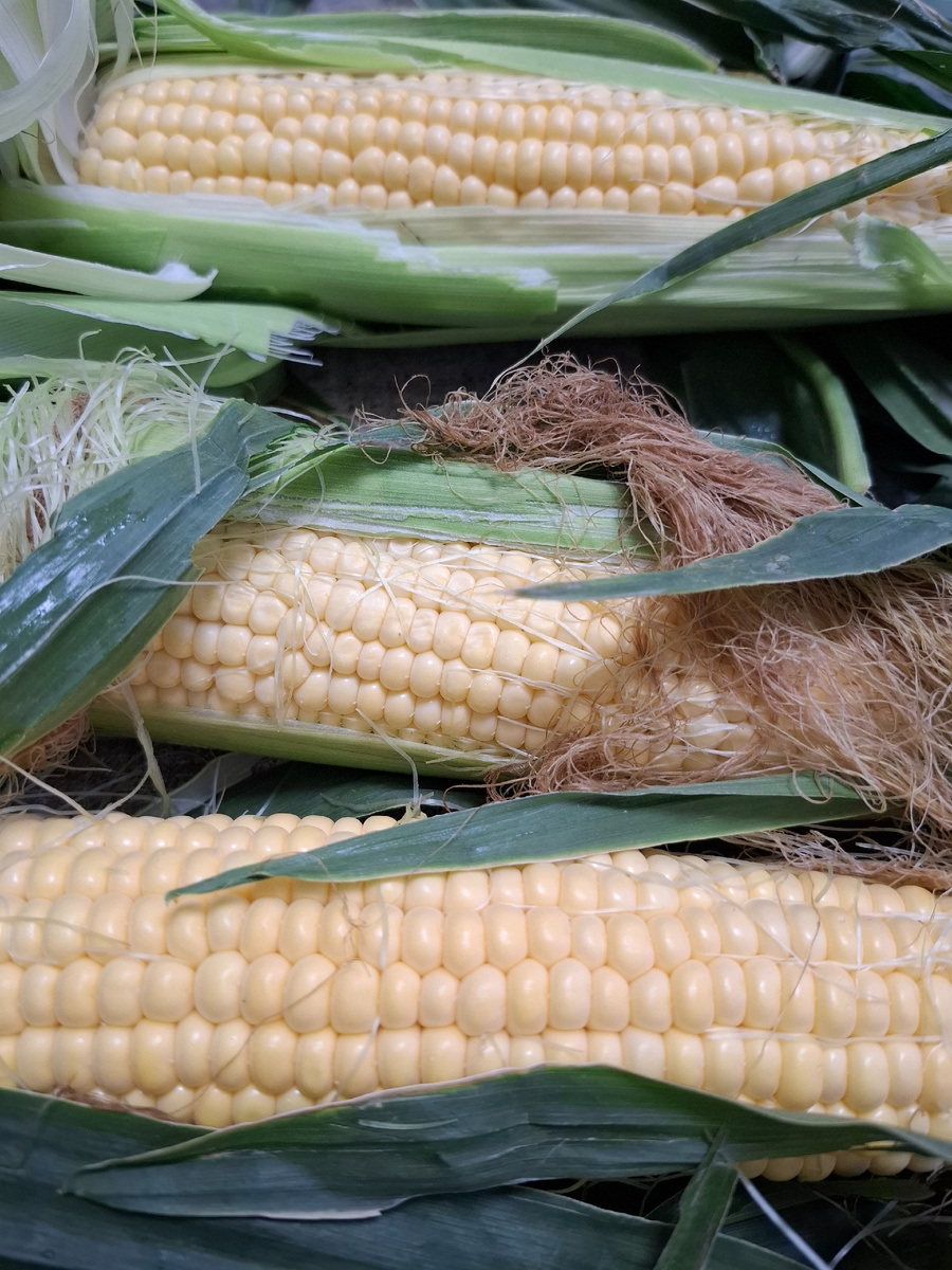 Фото автора!