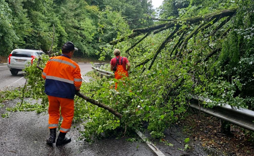    Фото: пресс-служба администрации Сочи