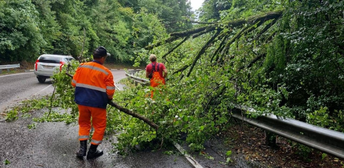    Фото: пресс-служба Департамента транспорта и дорожного хозяйства Сочи