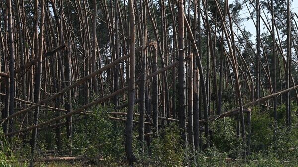    © Sputnik / Виктор Толочко