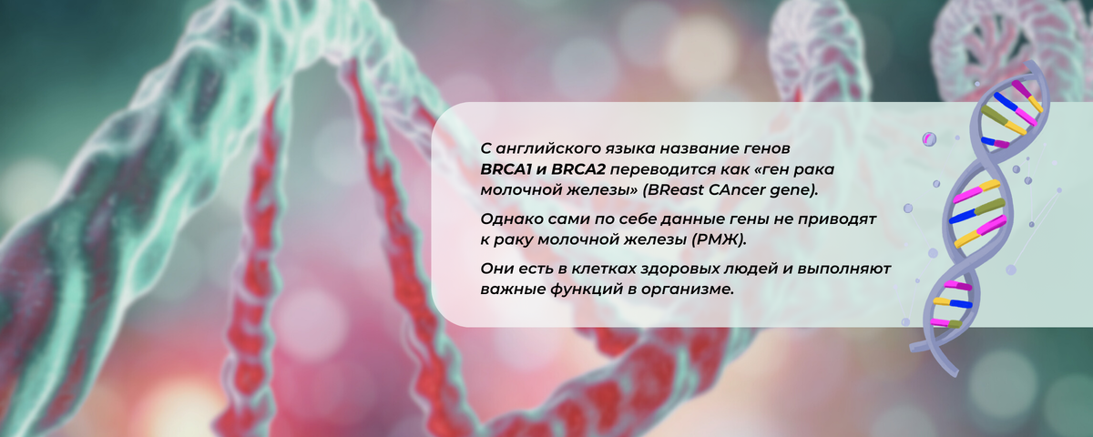 Brca2 рак молочной железы