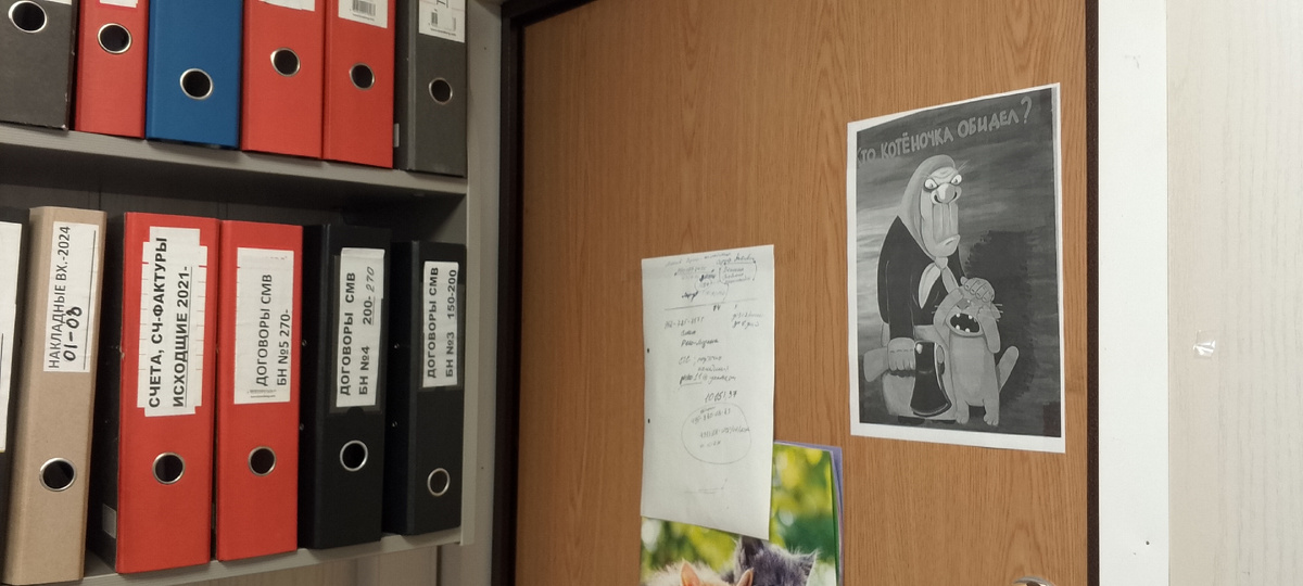 За моим рабочим столом. Фото автора.