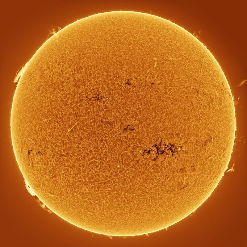 Снимок Солнца в линии  h-alpha, сделанный 21 июля Mario Rana, Хемптон, Вирджиния, США.