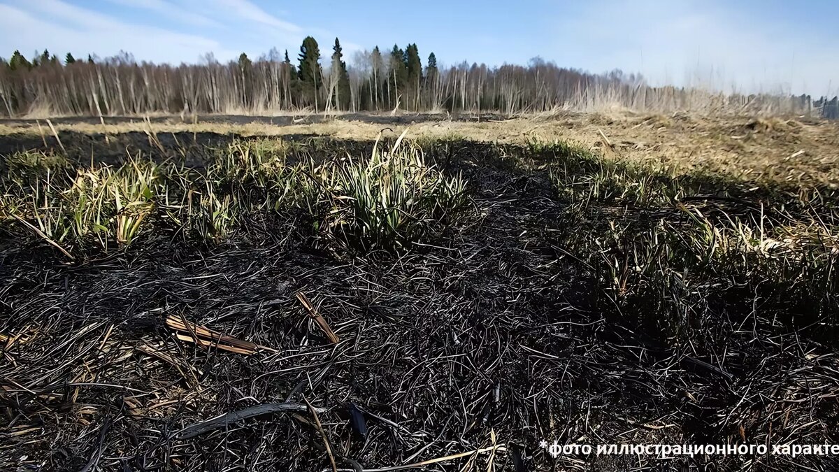     Источник: Безопасный городишко Лоухи / vk