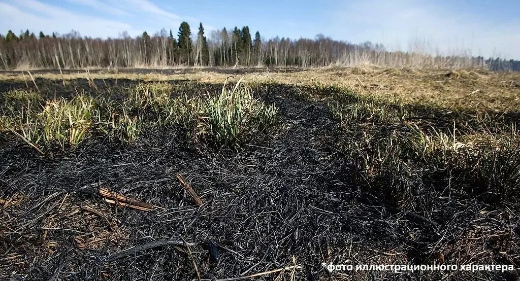     Источник: Безопасный городишко Лоухи / vk