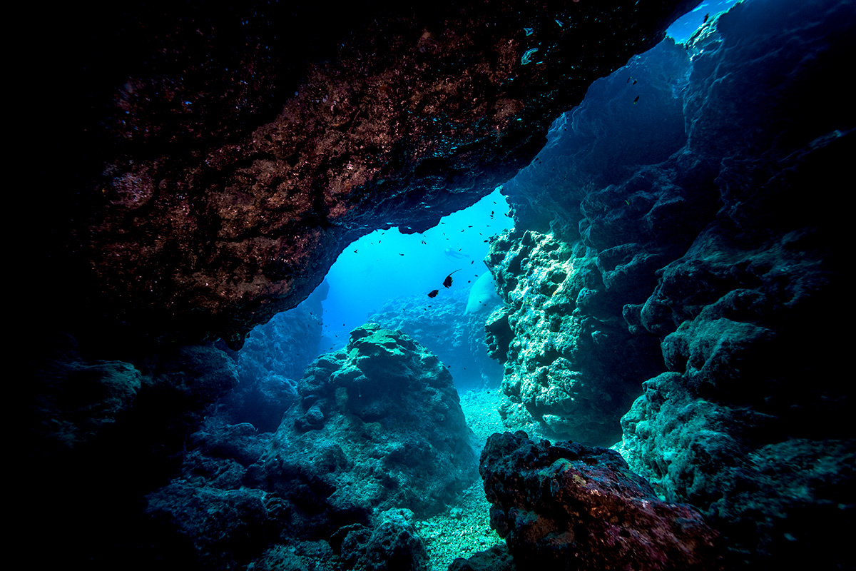    Hoiseung Jung / Shutterstock / FOTODOM