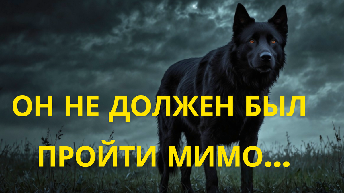 Ночь. Поле. Одинокий человек идет домой, но его путь преграждает странная палка, излучающая зловещую ауру. Что таится в этой палке, и чем закончится его встреча с тенью, которая бродит по полю? 

