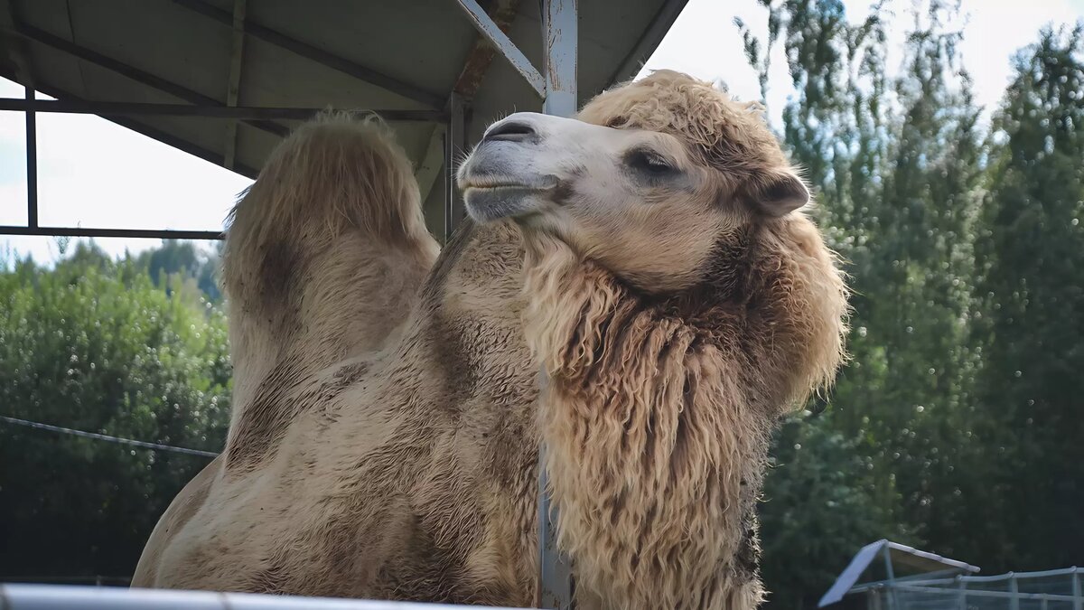     Источник: 1MI